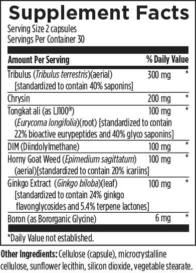 Daily Packet - VitalStim-M